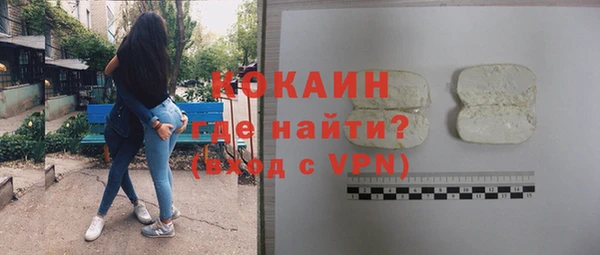 гашик Алексеевка