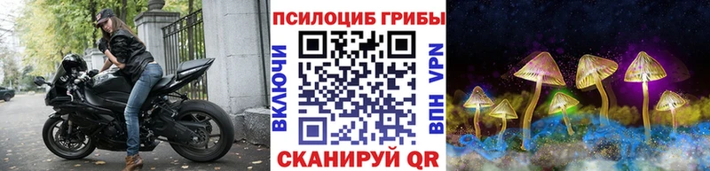 Псилоцибиновые грибы Psilocybine cubensis  Железногорск-Илимский 